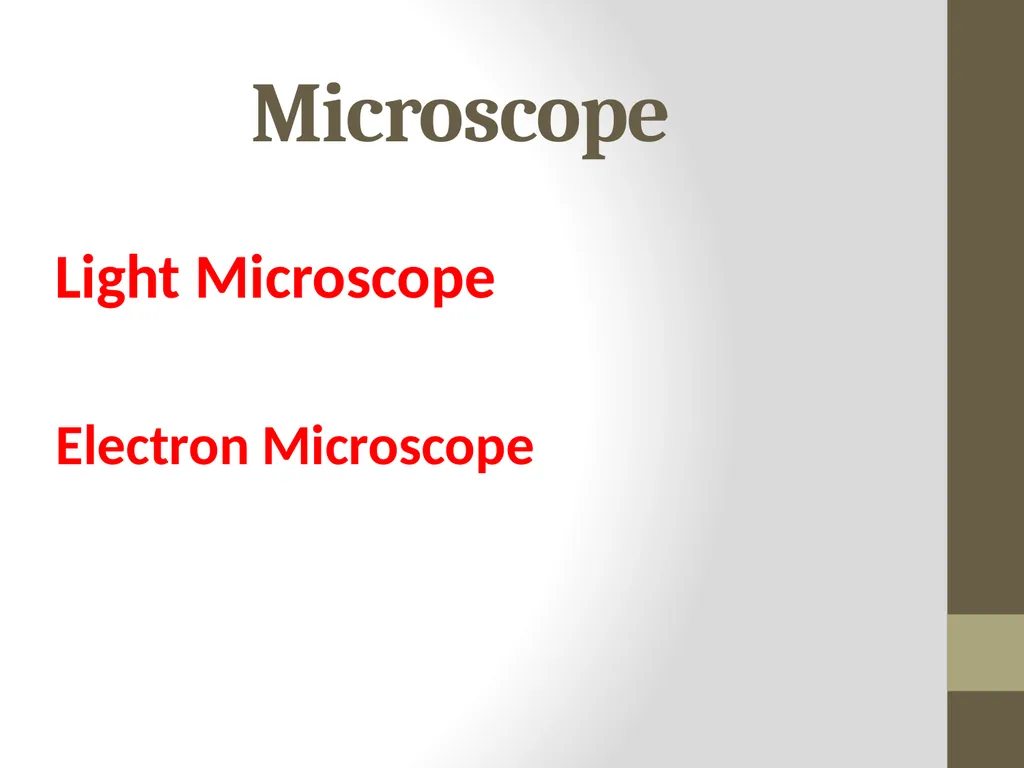 Microscope Light Microscope Electron Microscope - slide 1 of 8