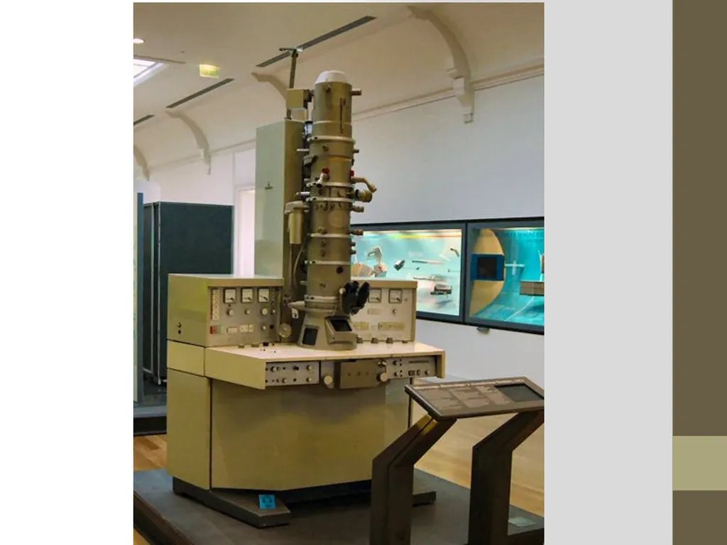 Microscope Light Microscope Electron Microscope - slide 5 of 8