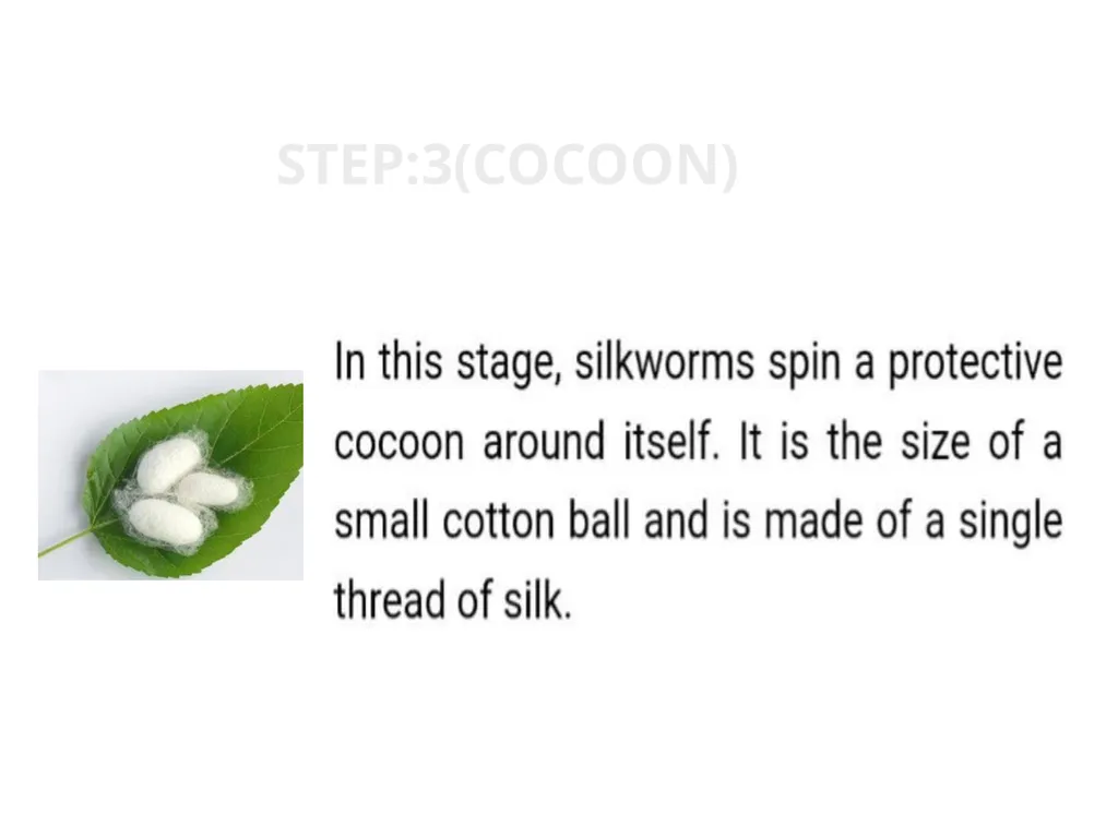 TOPIC:2 BOMBYX MORI LIFE CYCLE STEP:2( lARVA) - slide 5 of 6
