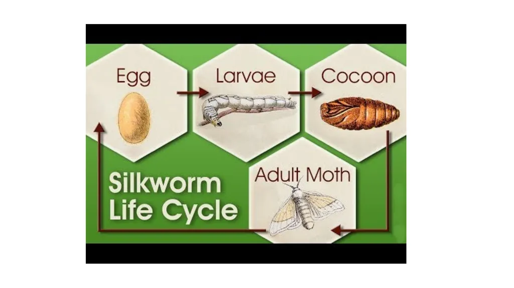 By SAHA DEV JAKHAR MOHANLAL SUKHADIYA UNIVERSITY - slide 12 of 13