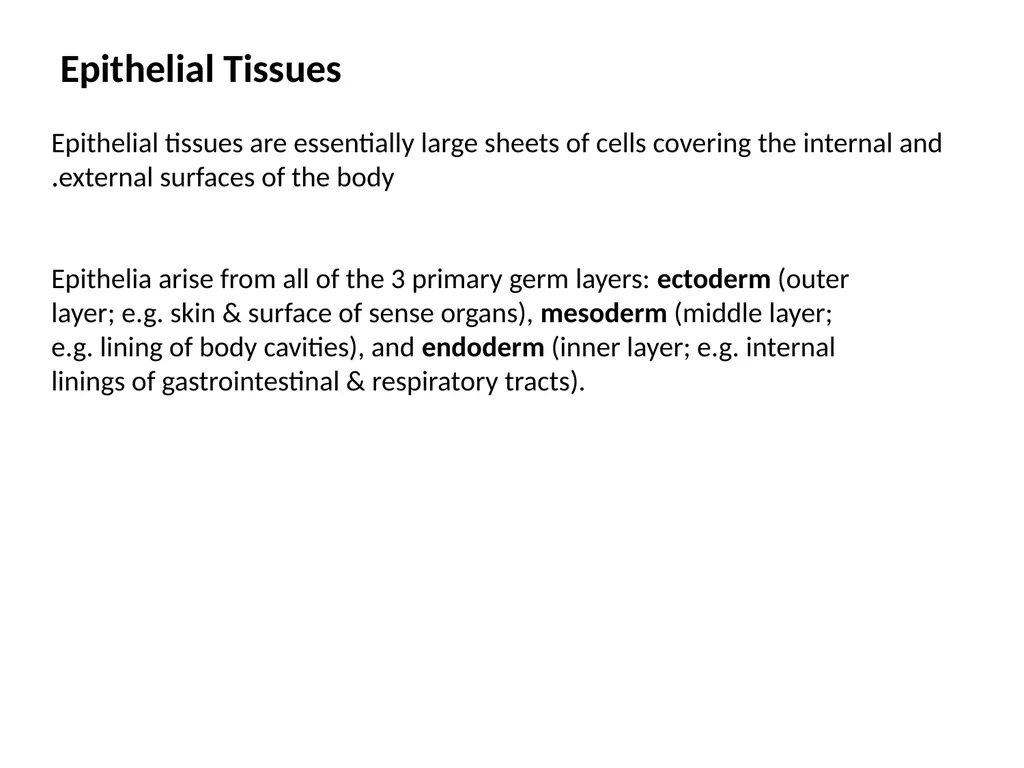 Epithelial Tissues By Dr. Fitua Al-Saedi The human - slide 3 of 16