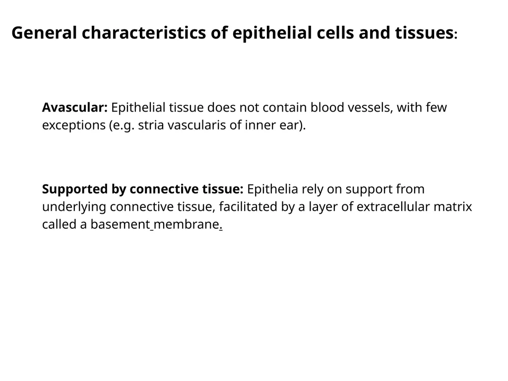 Epithelial Tissues By Dr. Fitua Al-Saedi The human - slide 5 of 16