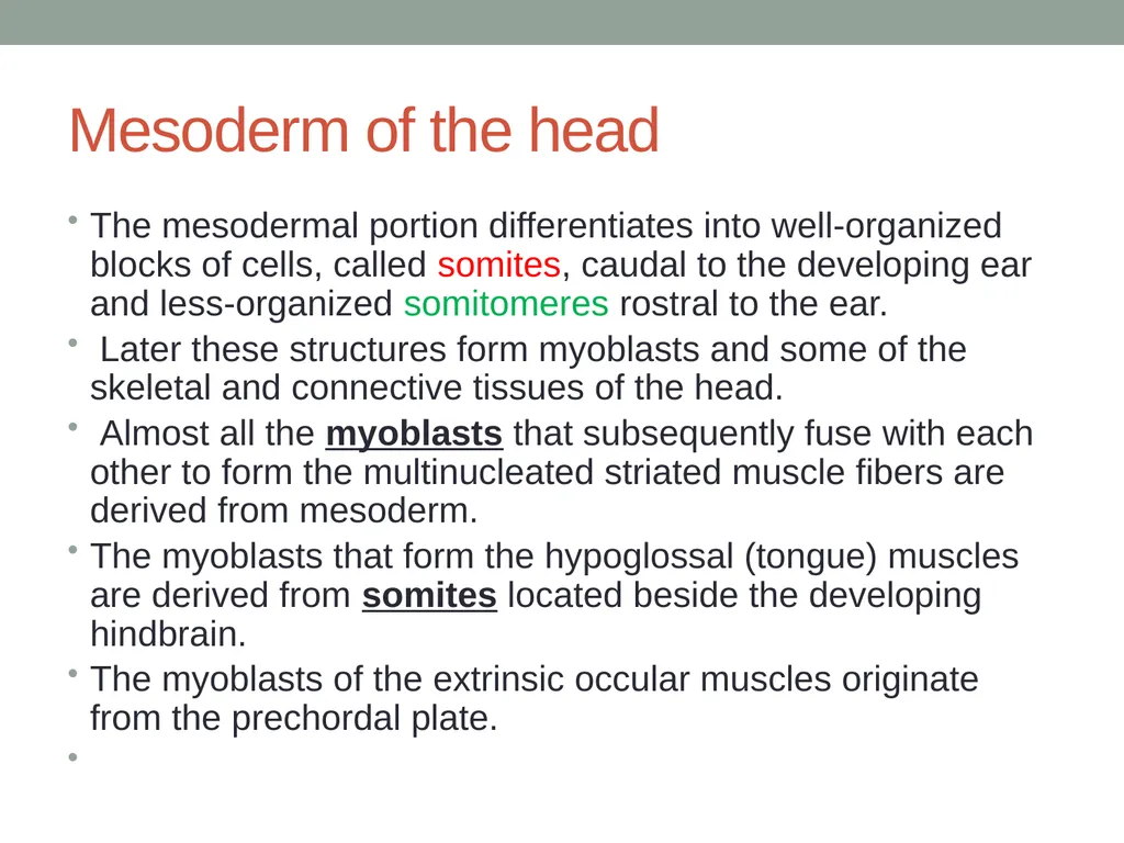 EMBRYOLOGY-I ا.م.د.ورقاء محمود علي INTRODUCTION: - slide 23 of 25