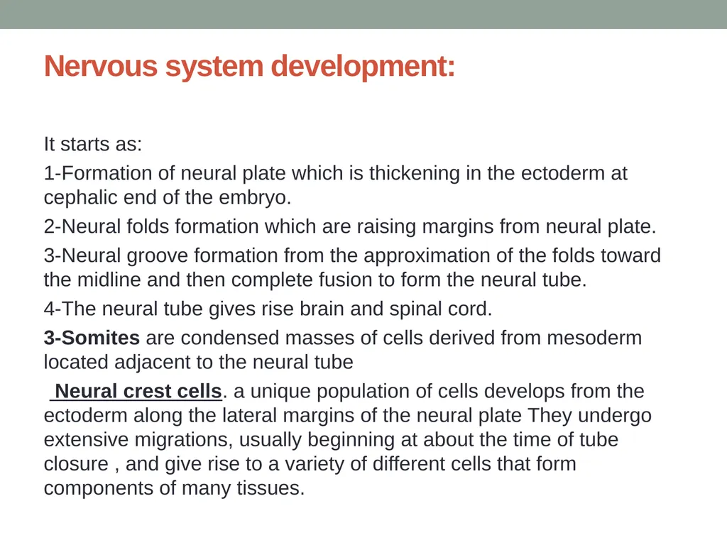 EMBRYOLOGY-I ا.م.د.ورقاء محمود علي INTRODUCTION: - slide 16 of 25
