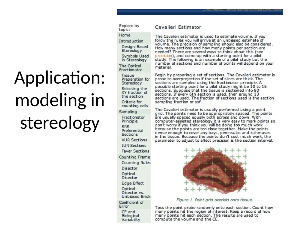 Cavalieri's Principle: Area and Volume Jim King - slide 19 of 20