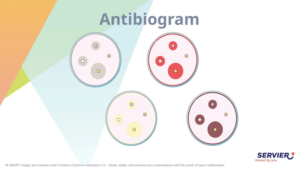 Microbiology & cell culture Petri dish (1) Petri - slide 21 of 22