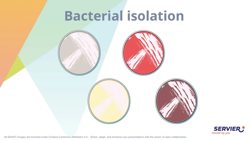 Microbiology & cell culture Petri dish (1) Petri - slide 20 of 22
