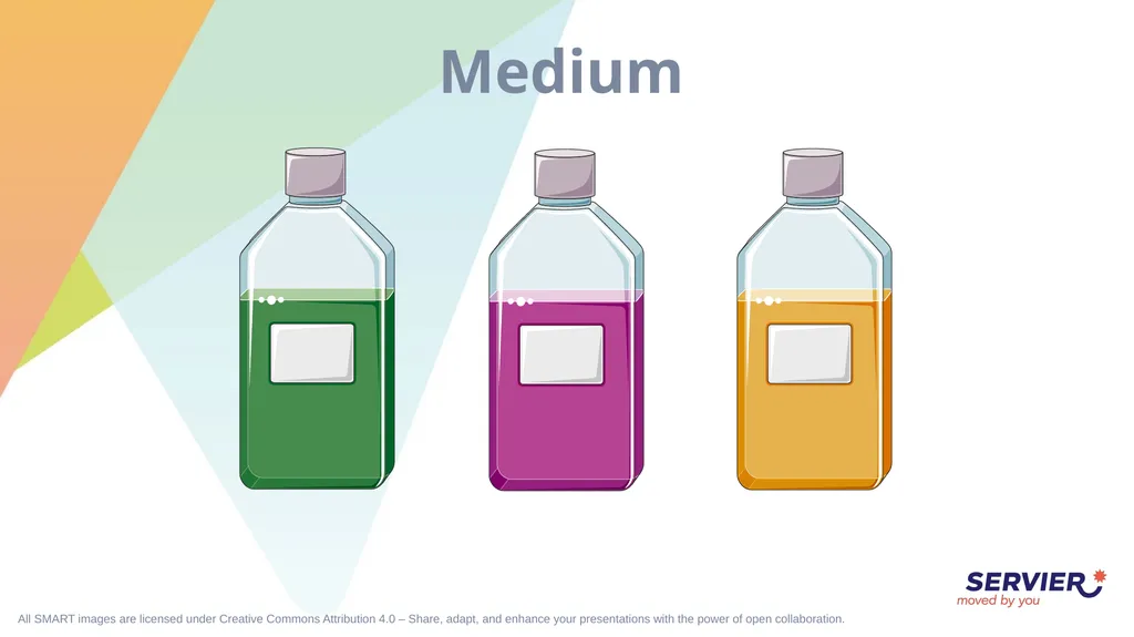 Microbiology & cell culture Petri dish (1) Petri - slide 12 of 22