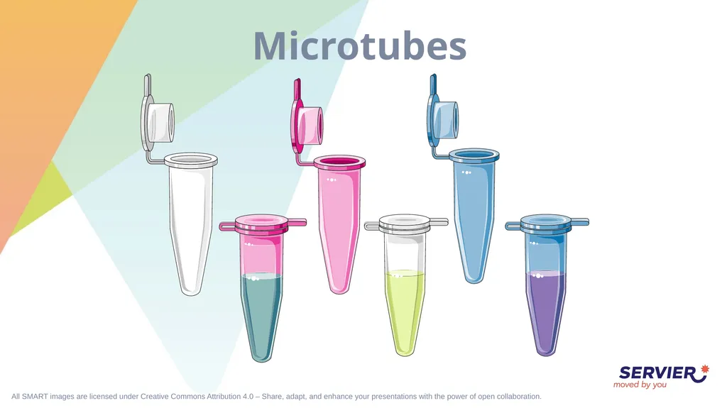 Microbiology & cell culture Petri dish (1) Petri - slide 9 of 22