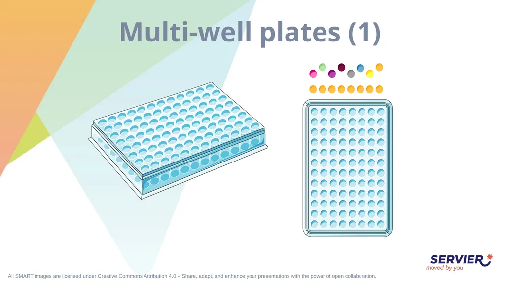 Microbiology & cell culture Petri dish (1) Petri - slide 16 of 22