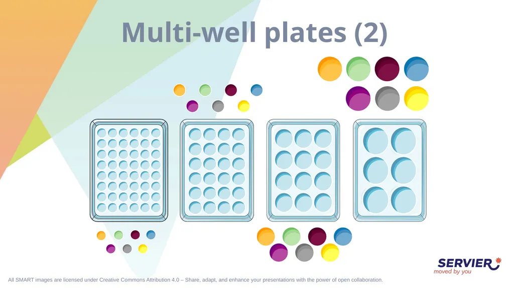 Microbiology & cell culture Petri dish (1) Petri - slide 17 of 22