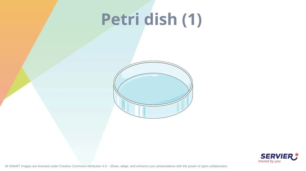 Microbiology & cell culture Petri dish (1) Petri - slide 3 of 22