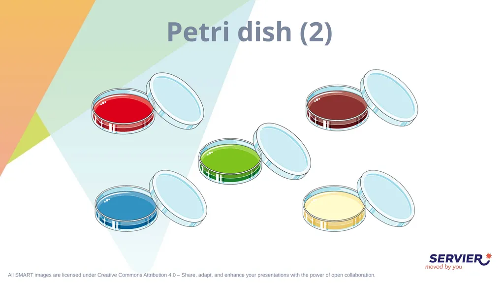 Microbiology & cell culture Petri dish (1) Petri - slide 4 of 22