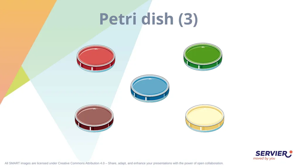 Microbiology & cell culture Petri dish (1) Petri - slide 5 of 22