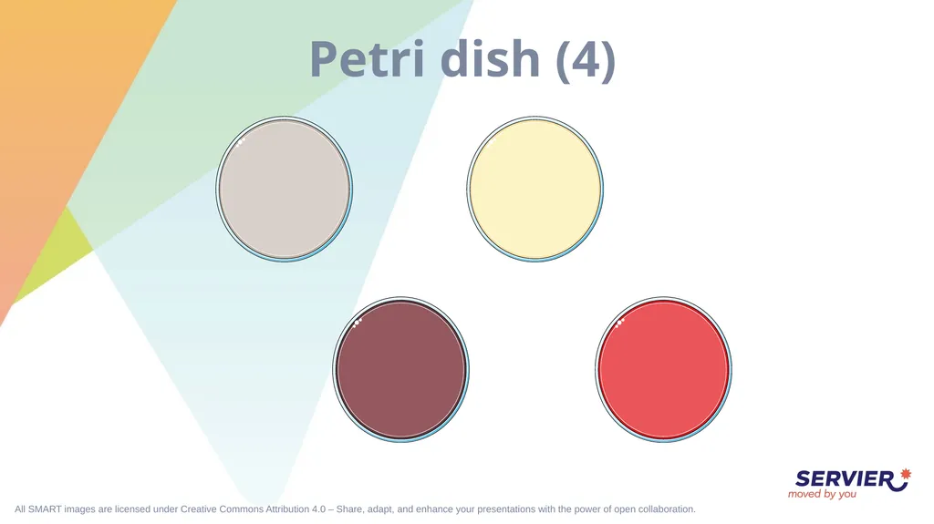 Microbiology & cell culture Petri dish (1) Petri - slide 6 of 22
