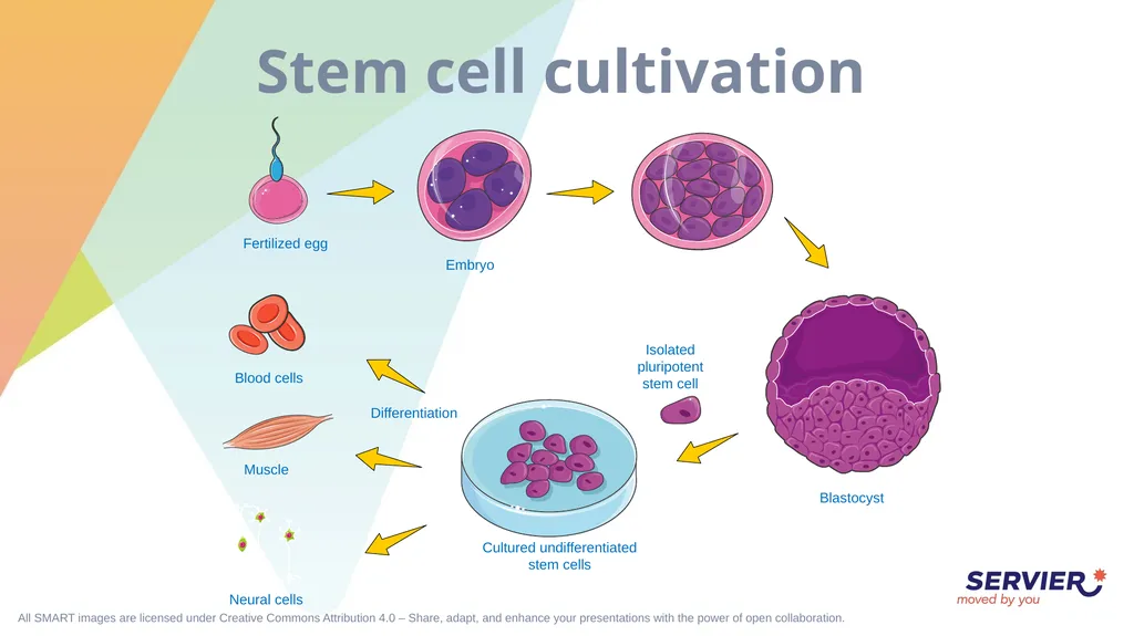Microbiology & cell culture Petri dish (1) Petri - slide 22 of 22