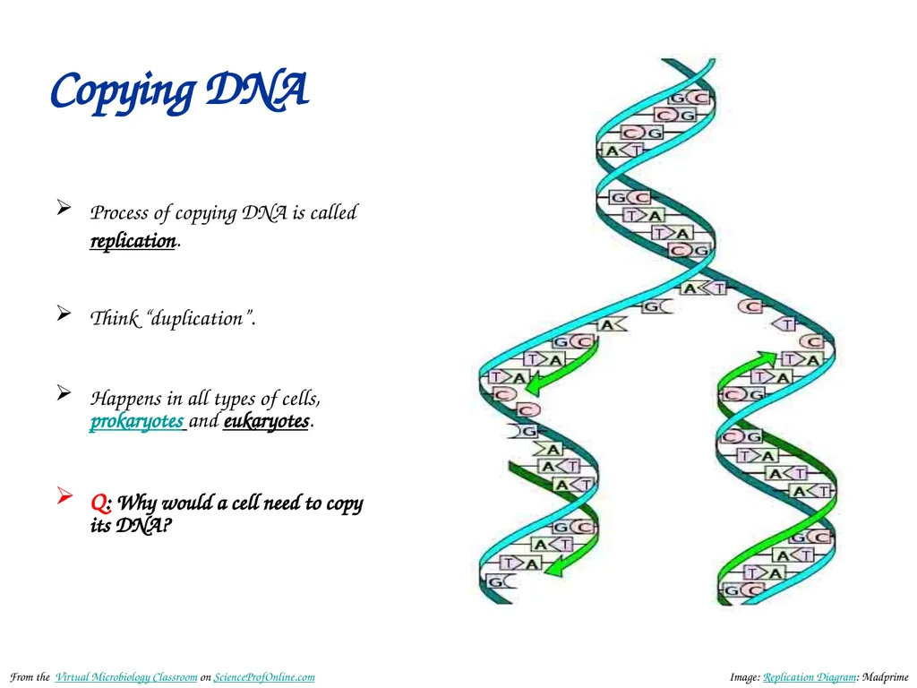 About Science Prof Online PowerPoint Resources - slide 8 of 30