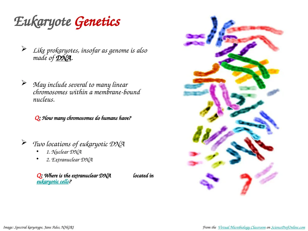 About Science Prof Online PowerPoint Resources - slide 6 of 30