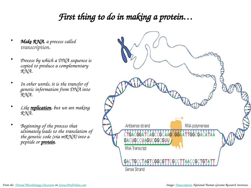 About Science Prof Online PowerPoint Resources - slide 14 of 30