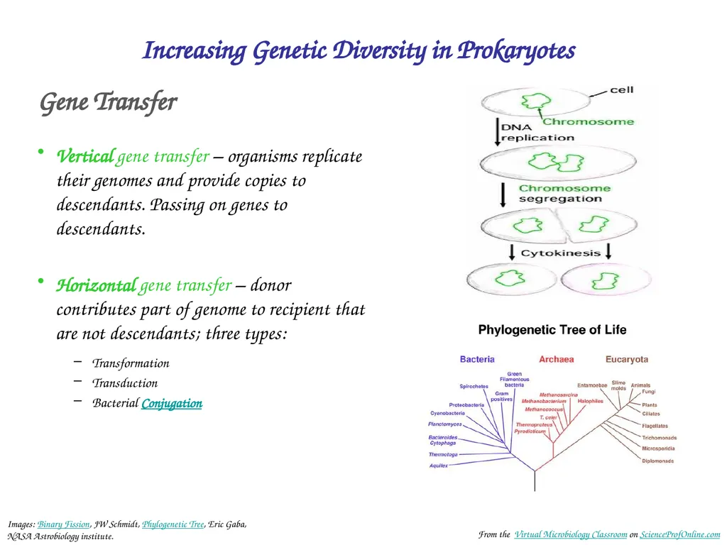 About Science Prof Online PowerPoint Resources - slide 22 of 30