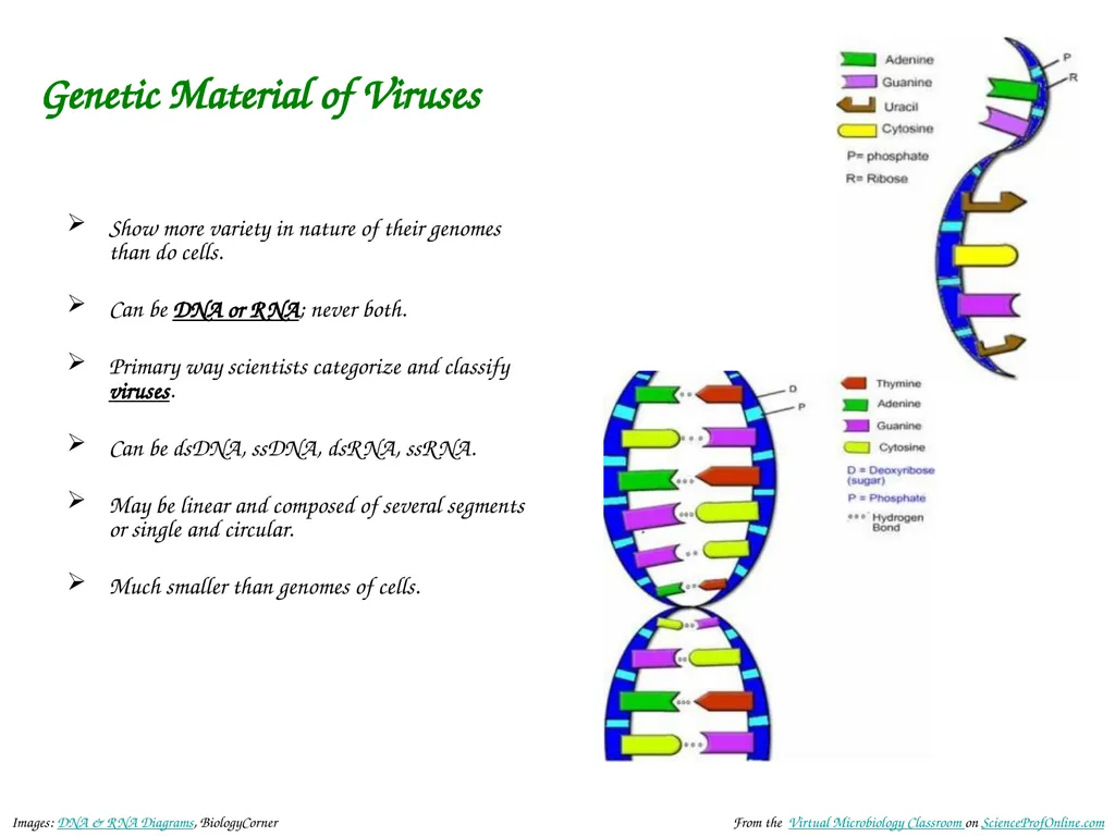 About Science Prof Online PowerPoint Resources - slide 7 of 30