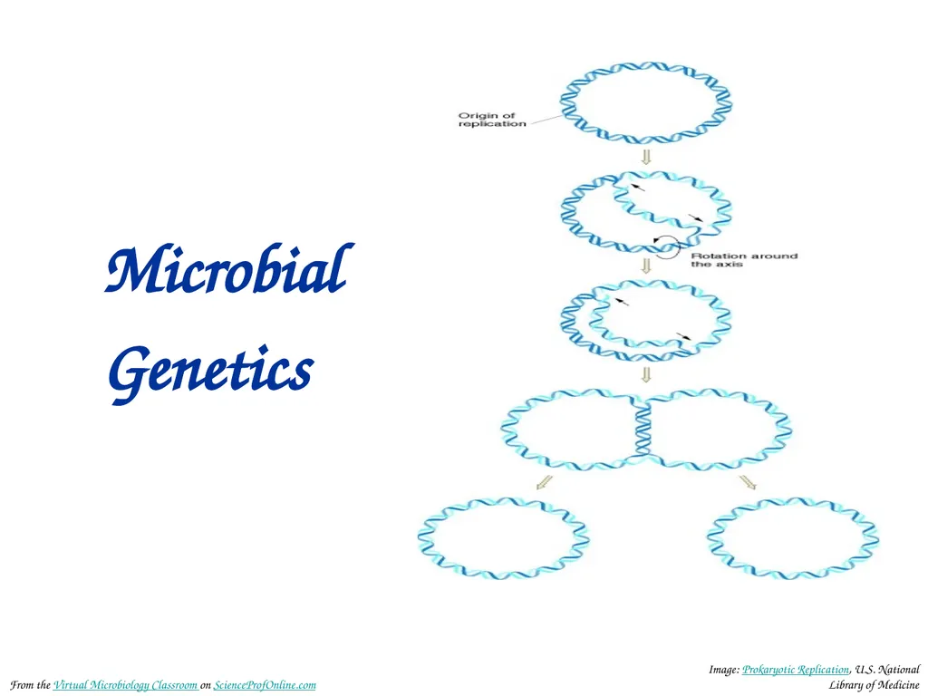 About Science Prof Online PowerPoint Resources - slide 2 of 30