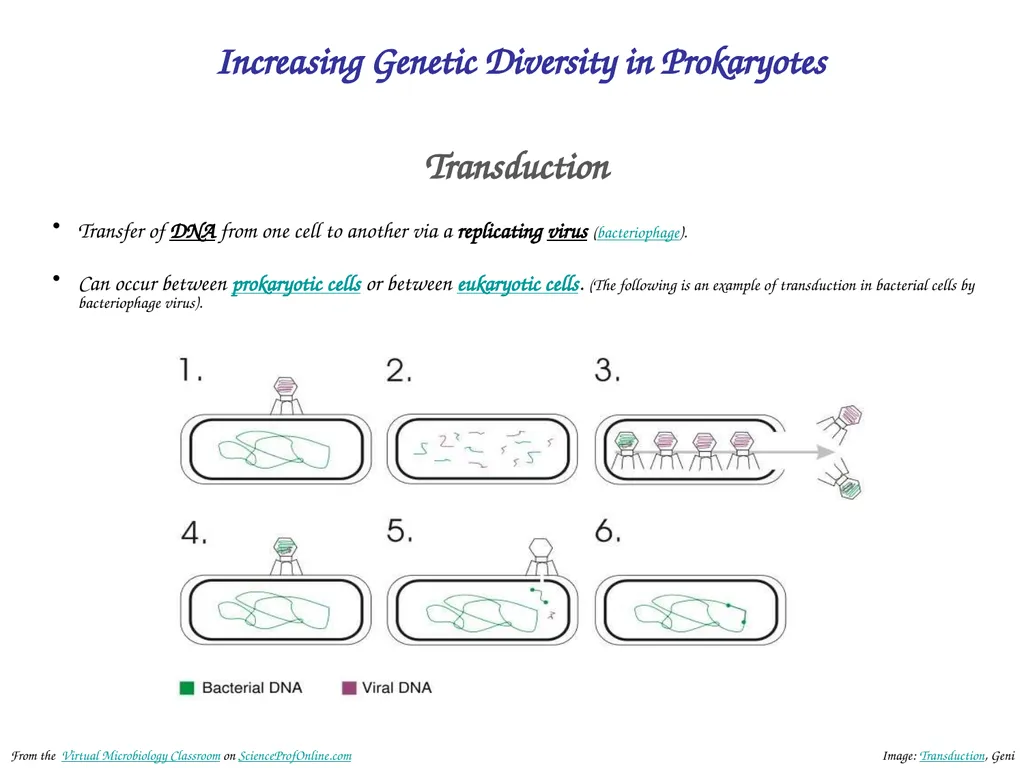 About Science Prof Online PowerPoint Resources - slide 26 of 30