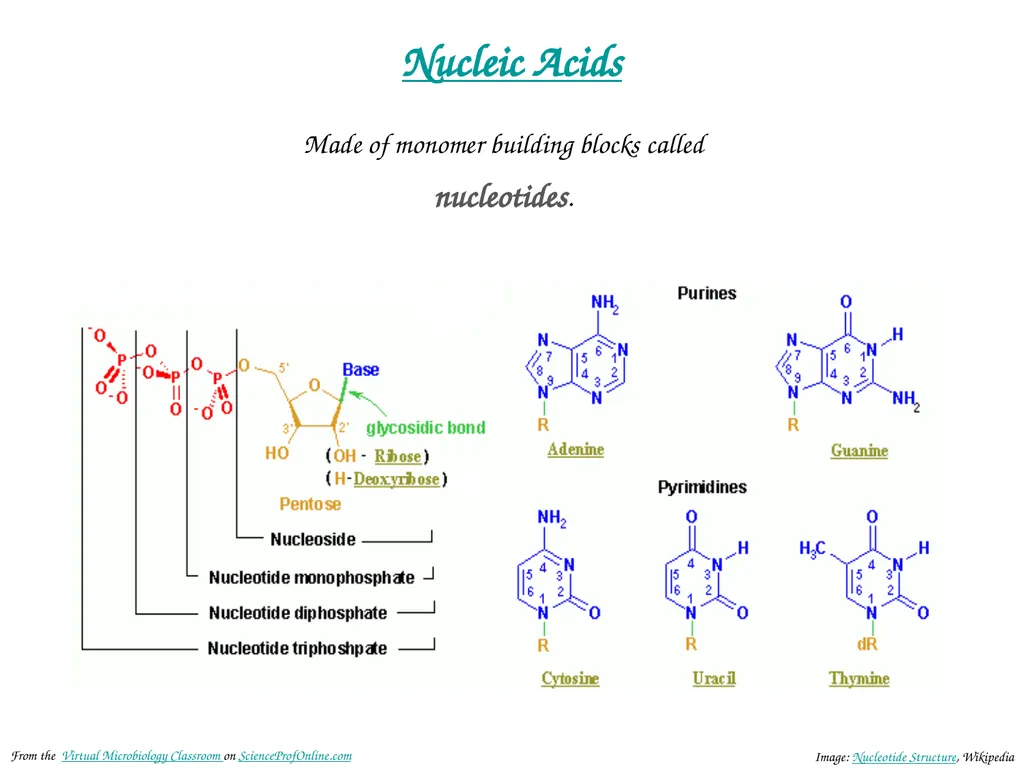 About Science Prof Online PowerPoint Resources - slide 3 of 30