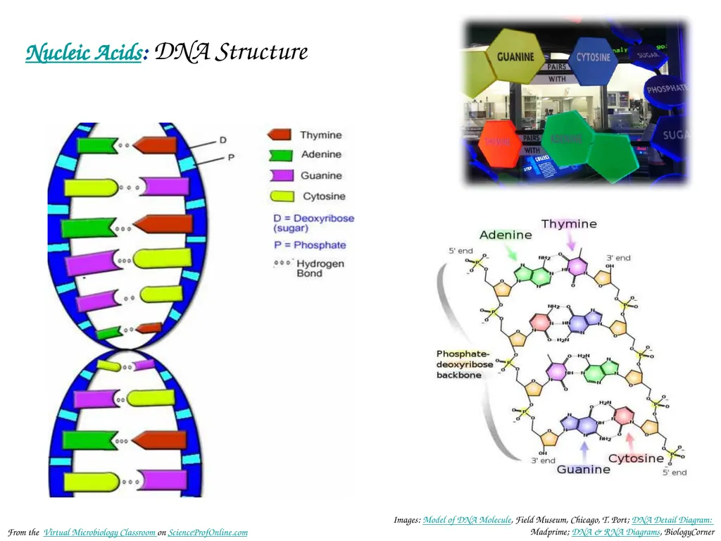 About Science Prof Online PowerPoint Resources - slide 4 of 30