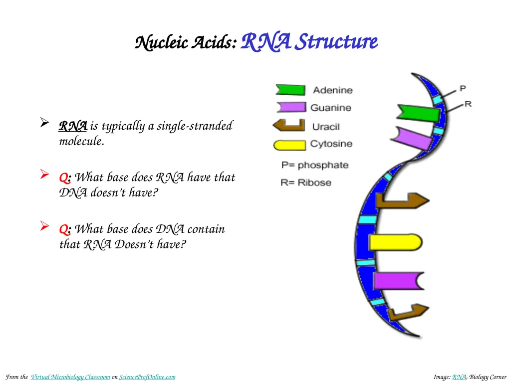 About Science Prof Online PowerPoint Resources - slide 13 of 30