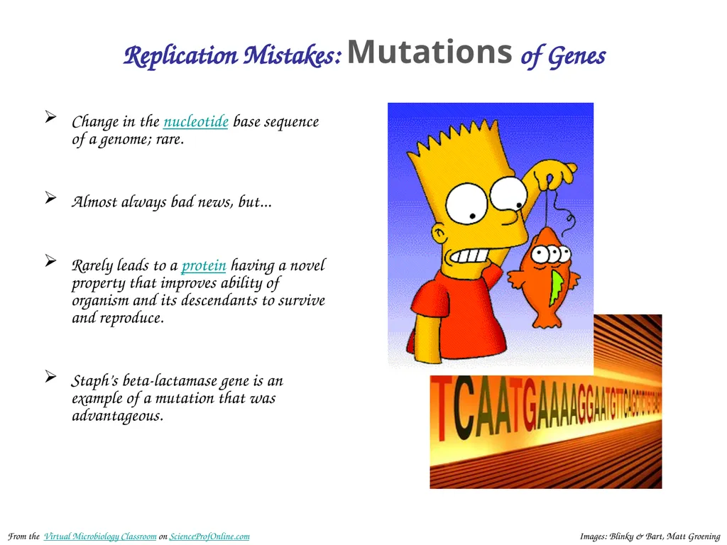About Science Prof Online PowerPoint Resources - slide 21 of 30