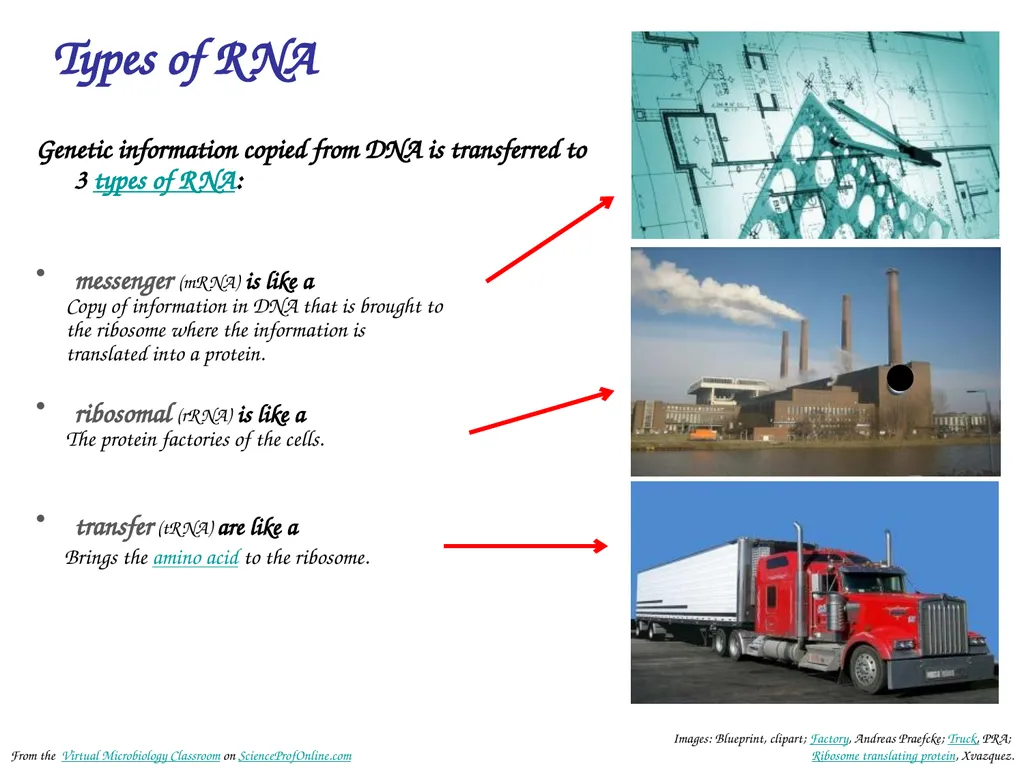 About Science Prof Online PowerPoint Resources - slide 15 of 30