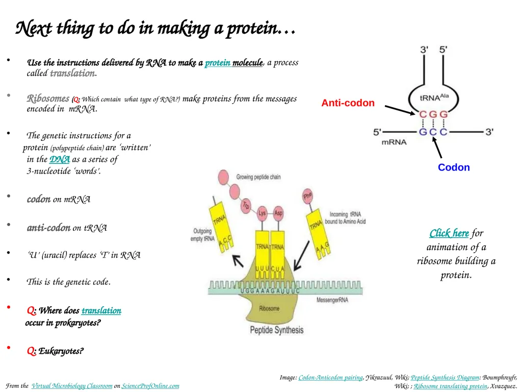 About Science Prof Online PowerPoint Resources - slide 16 of 30
