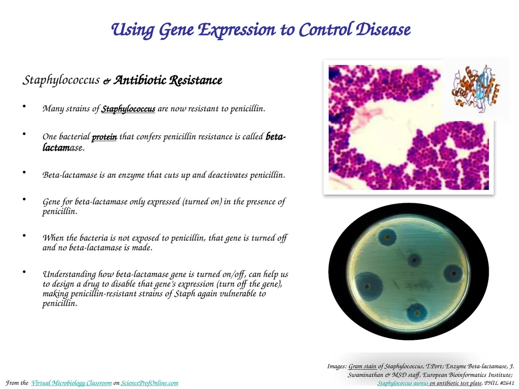 About Science Prof Online PowerPoint Resources - slide 19 of 30