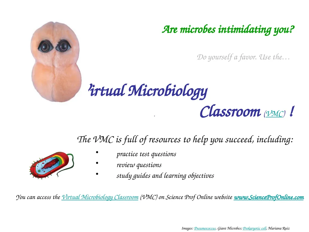 About Science Prof Online PowerPoint Resources - slide 30 of 30