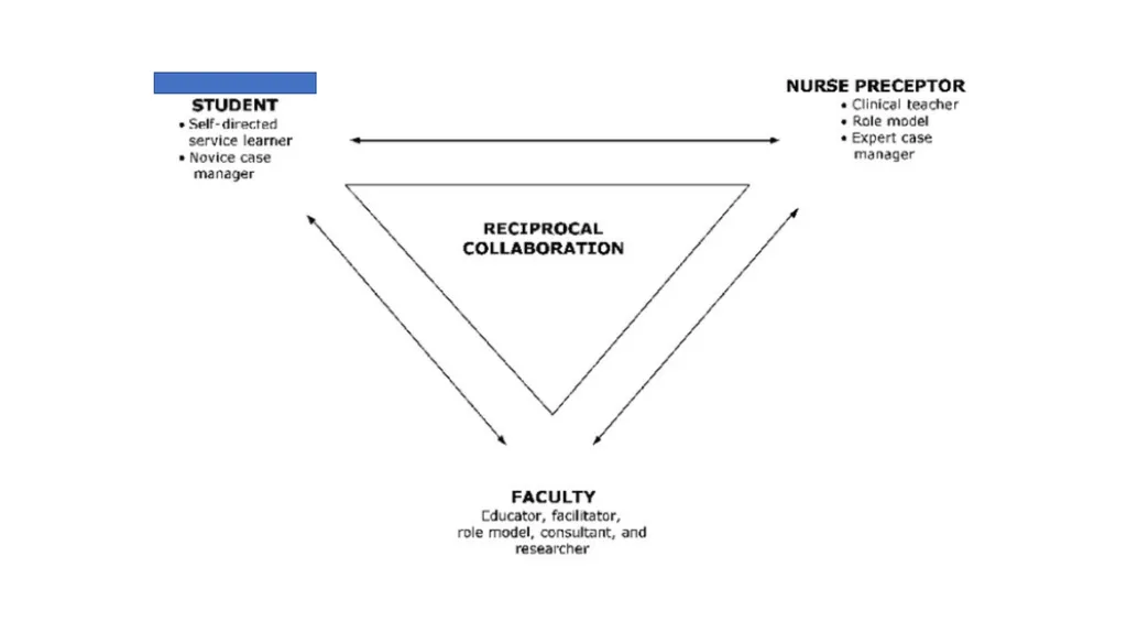 Te Whatu Ora Southern RN Preceptor Course 2023 - slide 4 of 12
