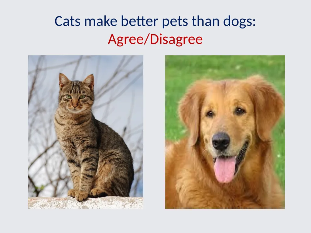 Philosophical Thinking in Primary Science Jude - slide 14 of 26