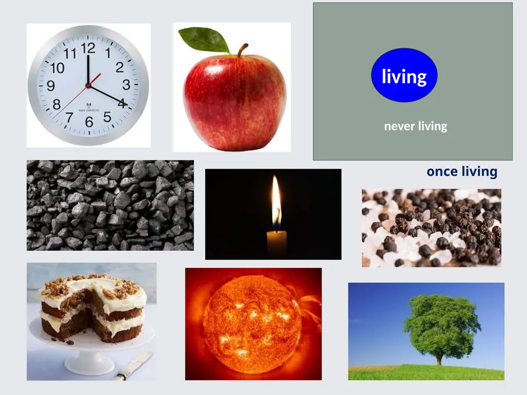 Philosophical Thinking in Primary Science Jude - slide 17 of 26