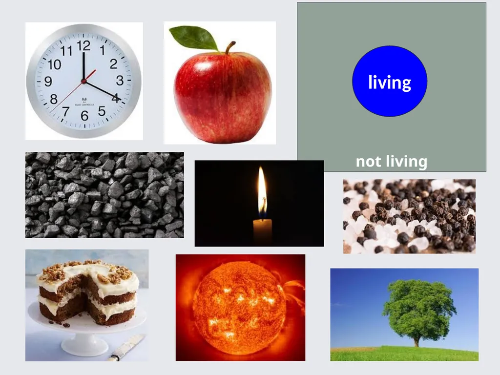 Philosophical Thinking in Primary Science Jude - slide 16 of 26