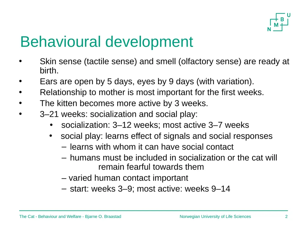 The Cat – Behaviour and Welfare 2. Birth and the - slide 2 of 11