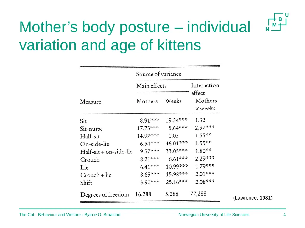 The Cat – Behaviour and Welfare 2. Birth and the - slide 4 of 11