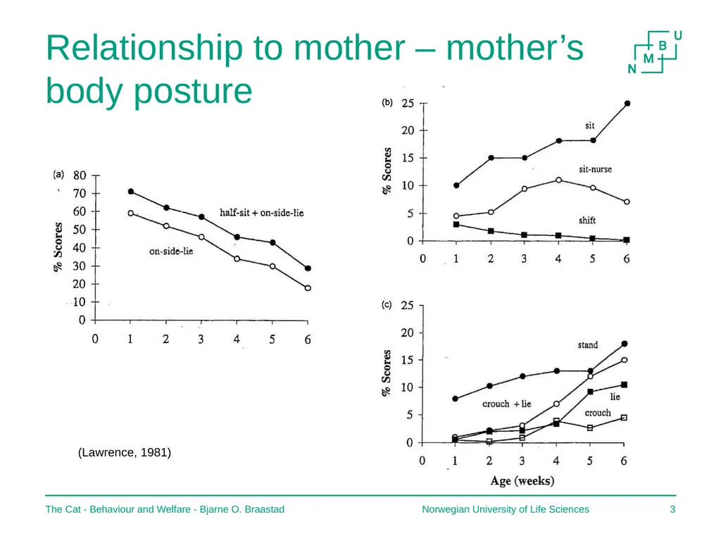 The Cat – Behaviour and Welfare 2. Birth and the - slide 3 of 11