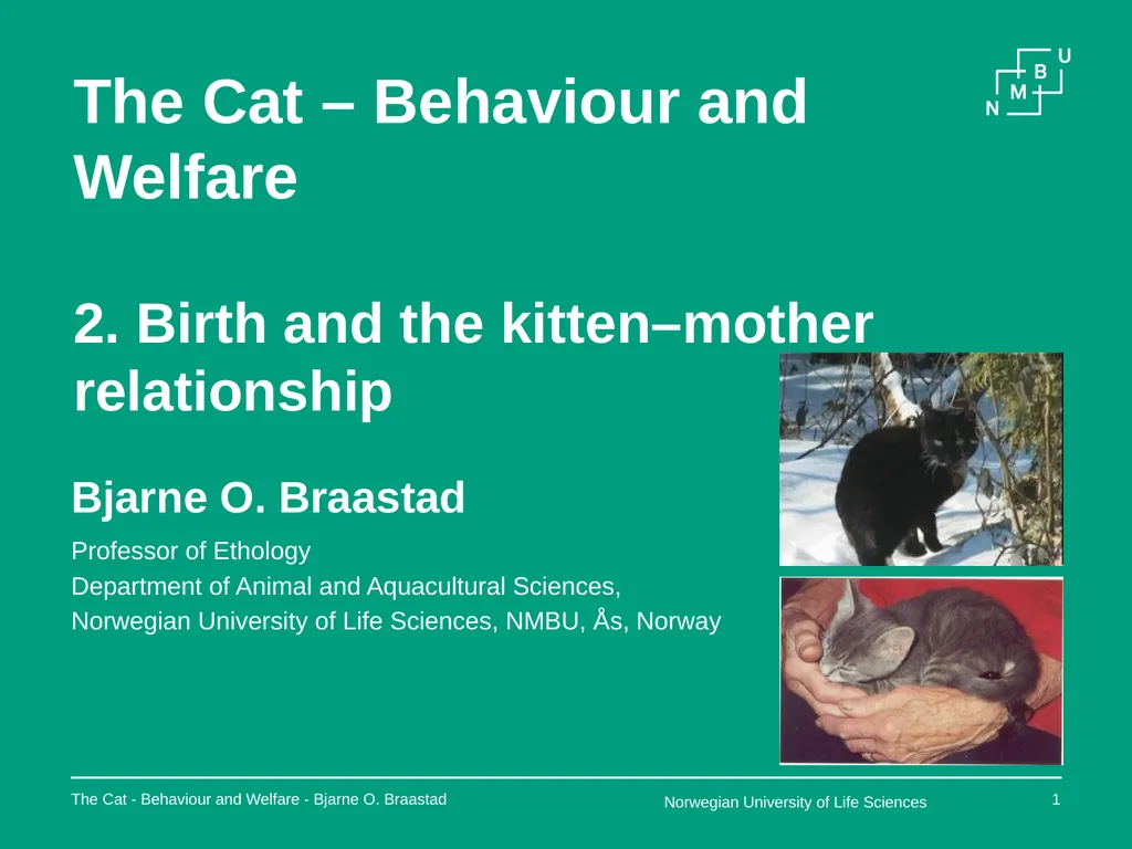 The Cat – Behaviour and Welfare 2. Birth and the - slide 1 of 11