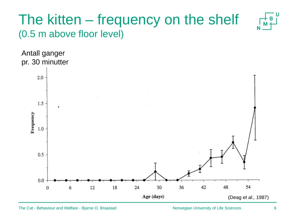The Cat – Behaviour and Welfare 2. Birth and the - slide 6 of 11