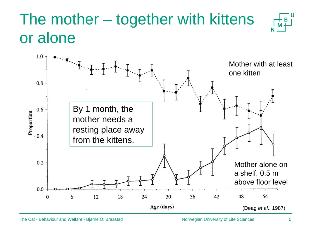The Cat – Behaviour and Welfare 2. Birth and the - slide 5 of 11