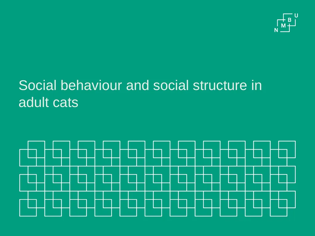 The Cat – Behaviour and Welfare 7. Social - slide 2 of 9