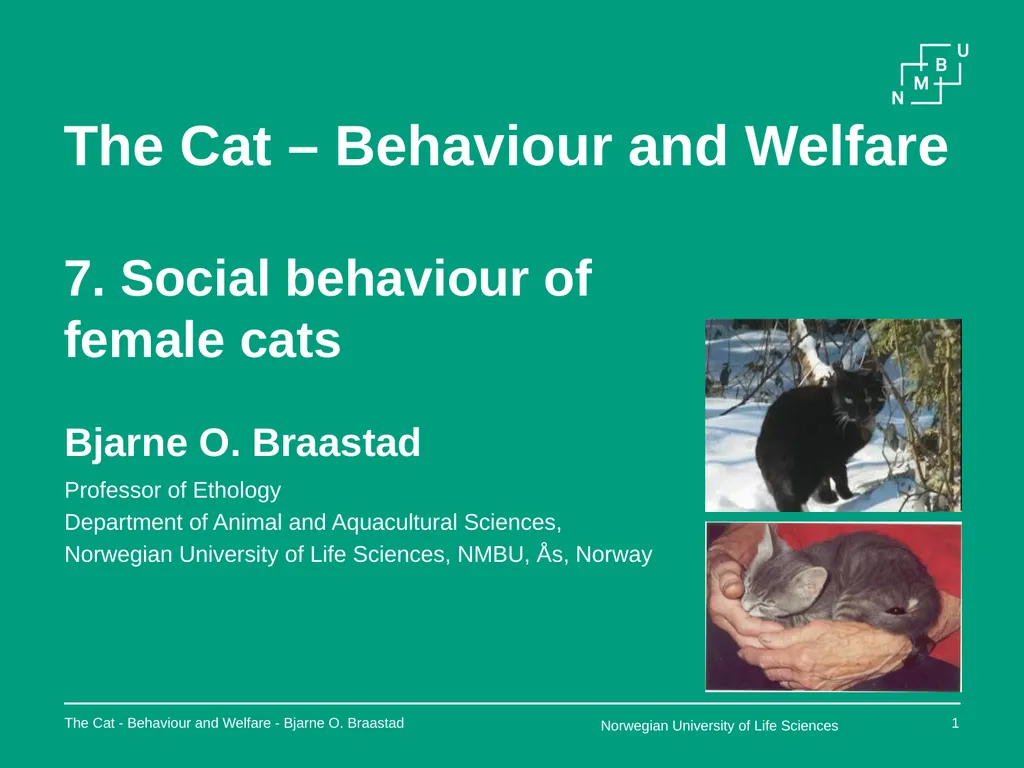 The Cat – Behaviour and Welfare 7. Social - slide 1 of 9