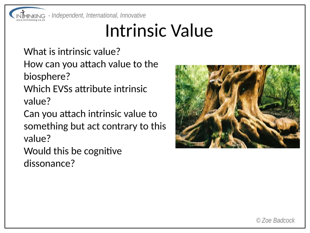 Environmental Value Systems Environmental Value - slide 10 of 11