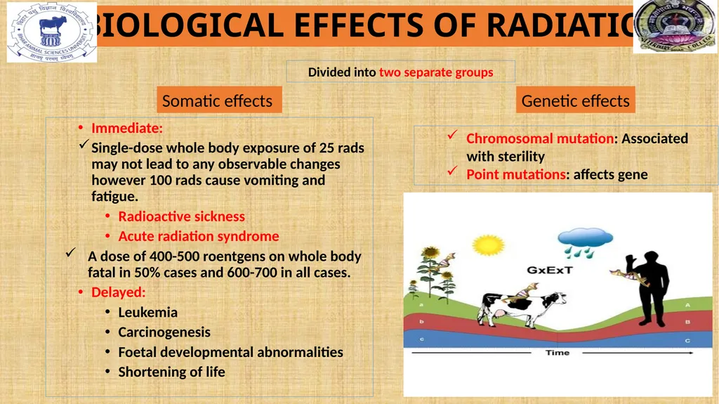 RADIATION POLLUTION RADIATION Radiation refers to - slide 10 of 15