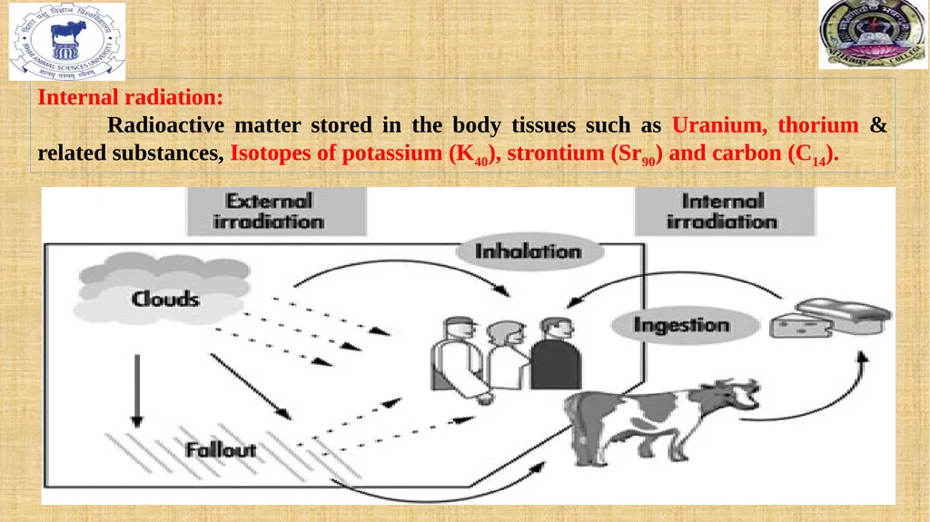 RADIATION POLLUTION RADIATION Radiation refers to - slide 7 of 15